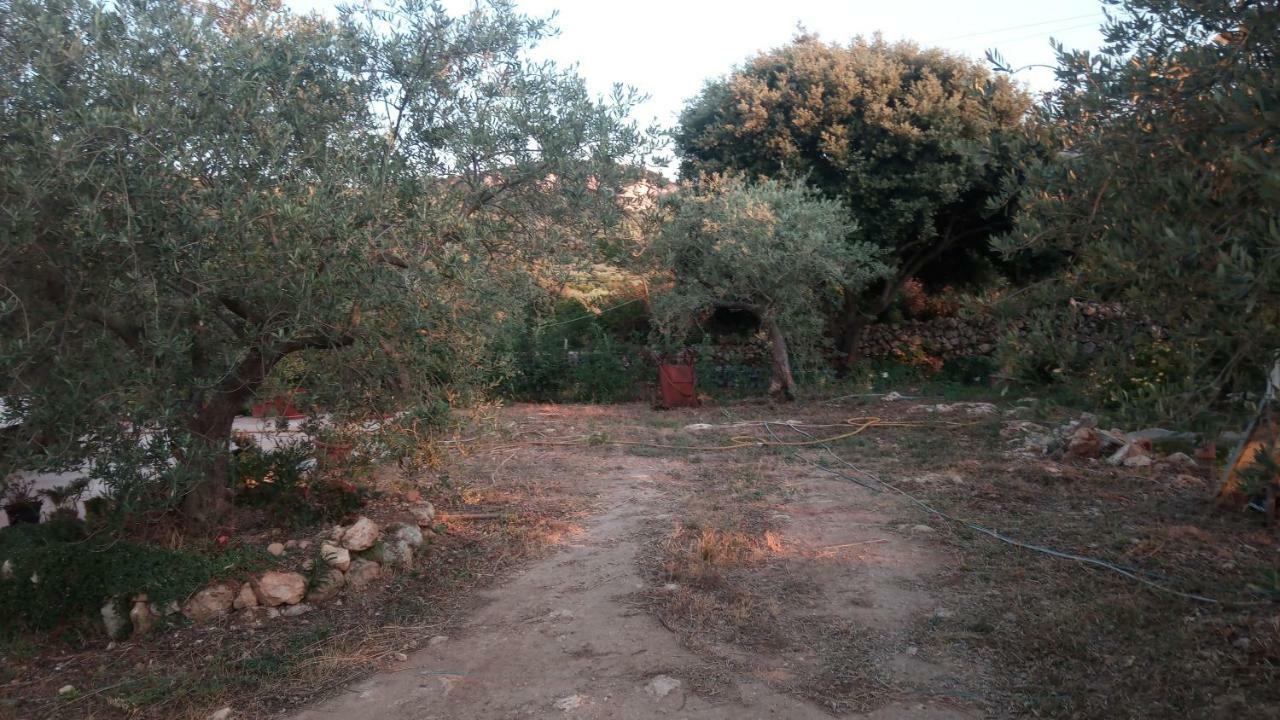 Residence Degli Ulivi Ossi Bagian luar foto