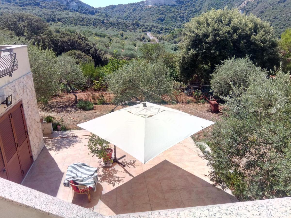 Residence Degli Ulivi Ossi Bagian luar foto